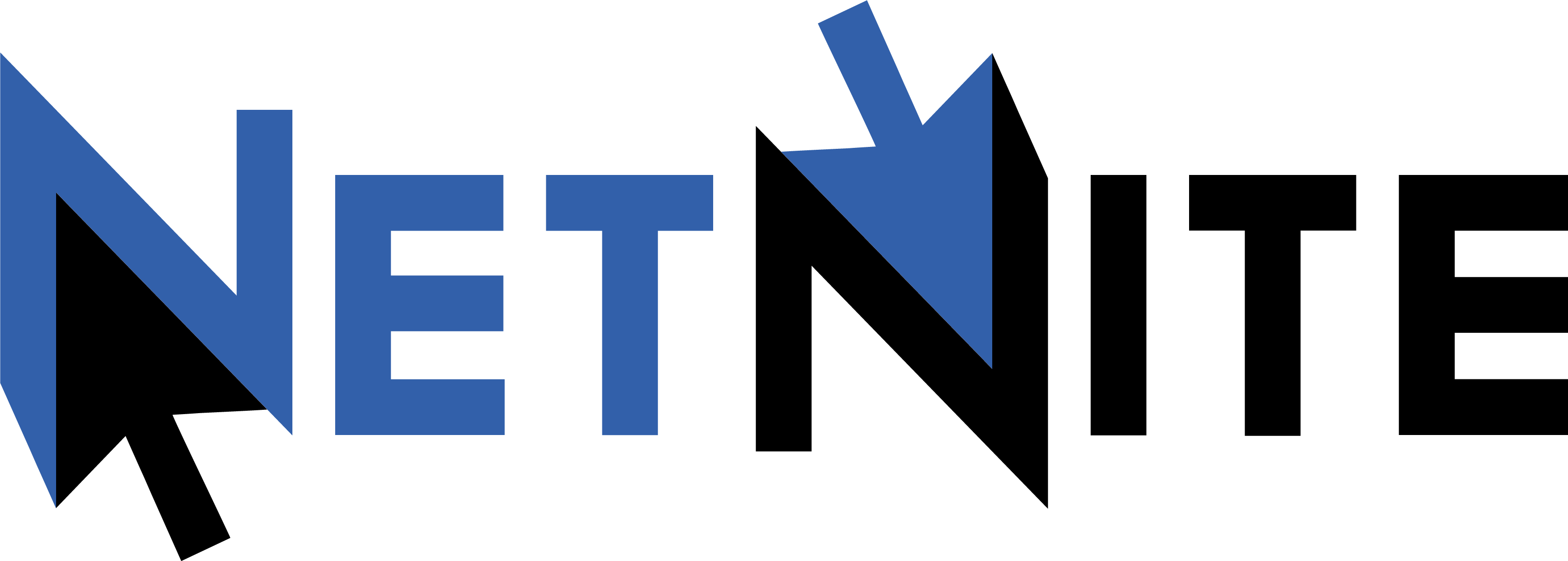 Logo NetNite